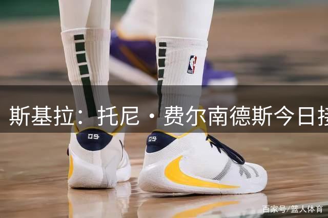 斯基拉：托尼·费尔南德斯今日接受威尼斯体检，费用400万欧+浮动